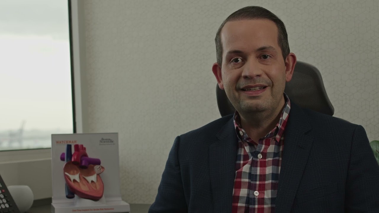 Vea cómo funciona WATCHMAN